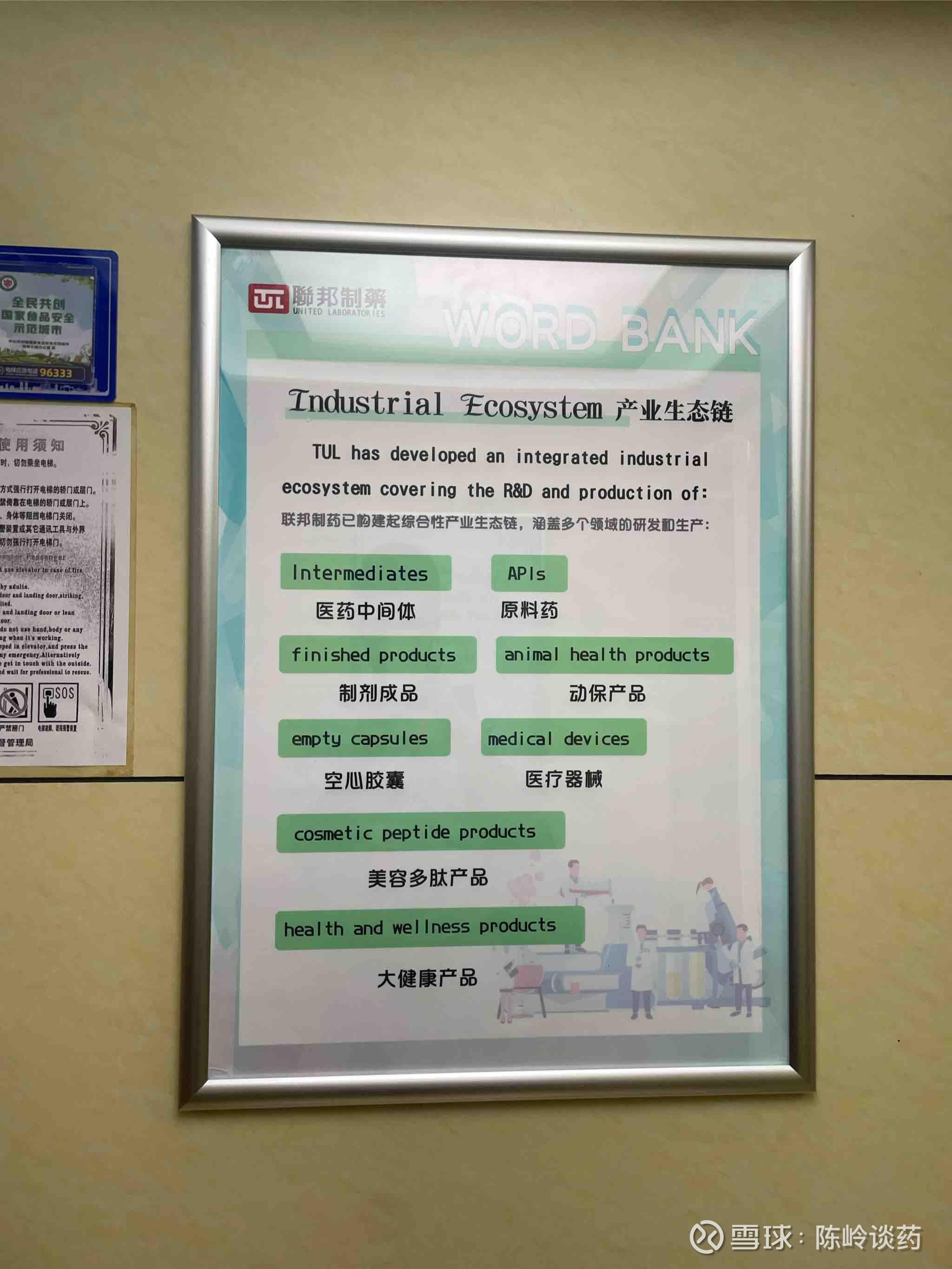 联邦制药(03933)股票股价_股价行情_讨论_资讯_财报_数据报告- 雪球