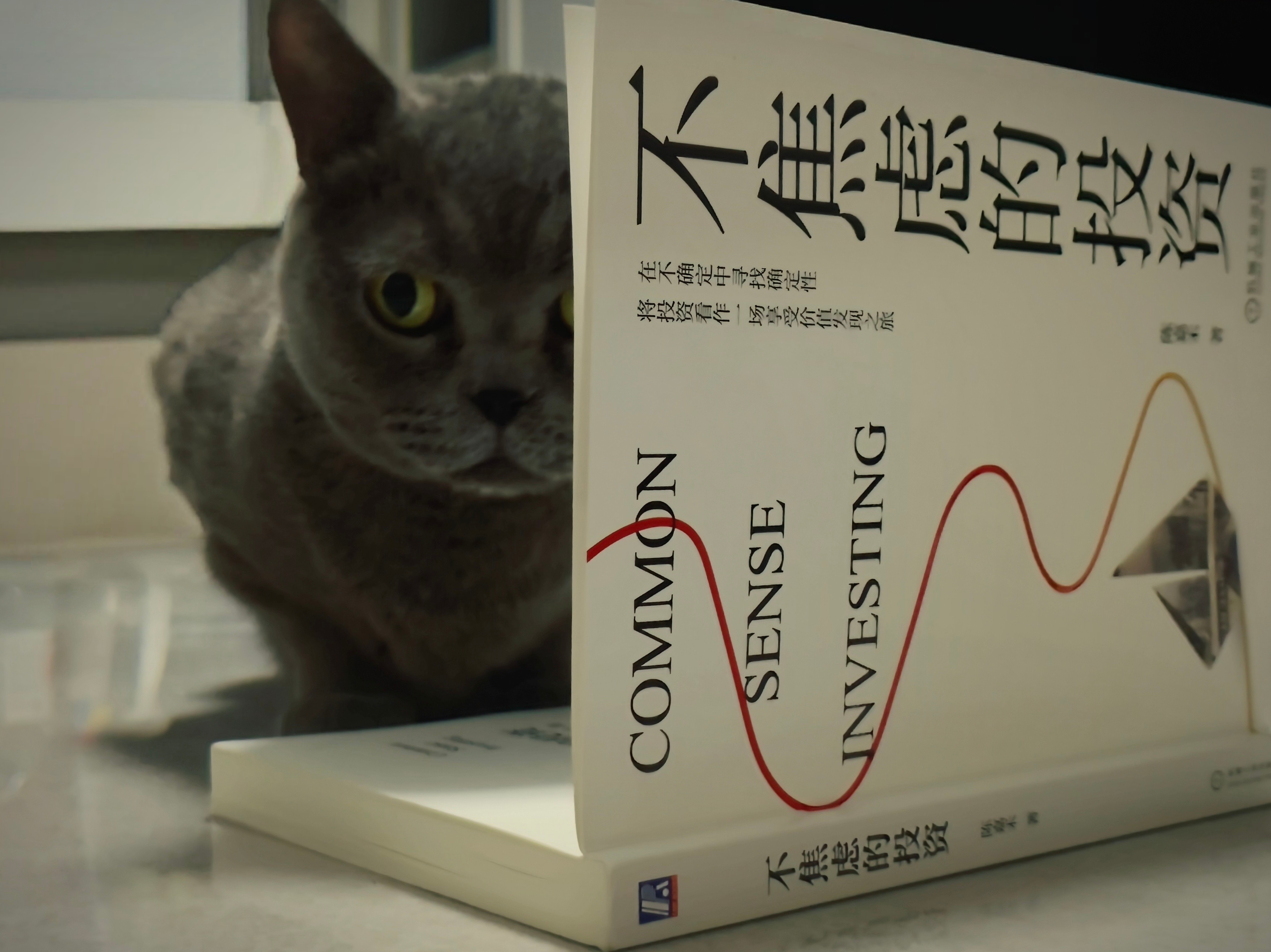 我们为何不够重视投资？ 我们为何不够重视投资？陈嘉禾九圜青泉科技首席投资官一直以来，我发现一个现象，那就是我们在绝大多数时候，对投资并没有给予...