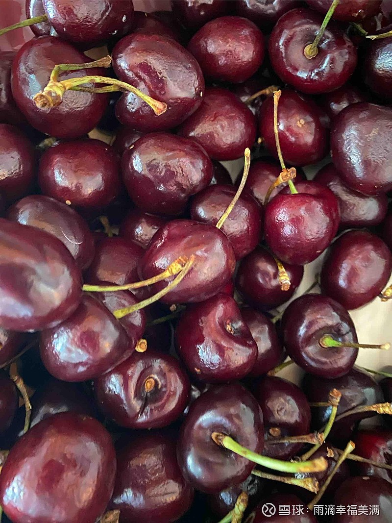 昨天入两手$美团-W(03690)$ ，降低一下持仓成本。计划十个点就出了，不想持仓太多。另外娃的帐户入两手$招商银行(...