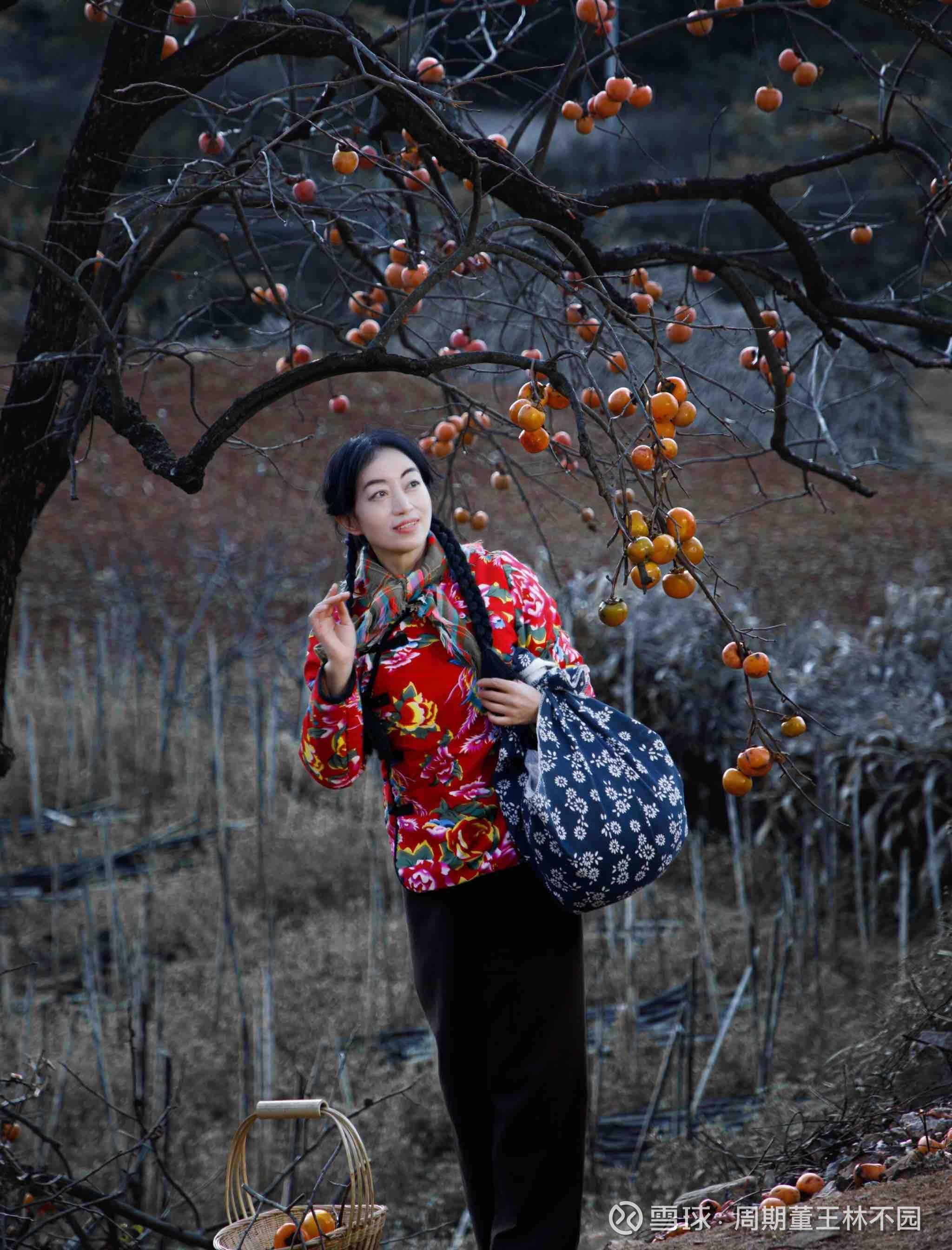 赤峰黄金(SH600988)股票股价_股价行情_讨论_资讯_财报_数据报告- 雪球