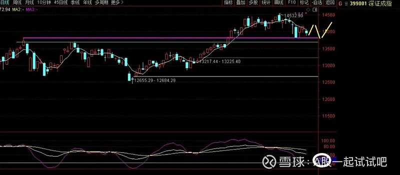 好大一只老鼠！  第4张