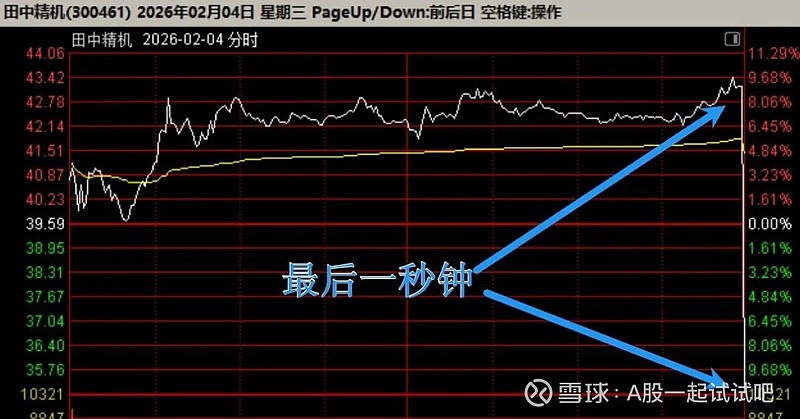 好大一只老鼠！  第5张