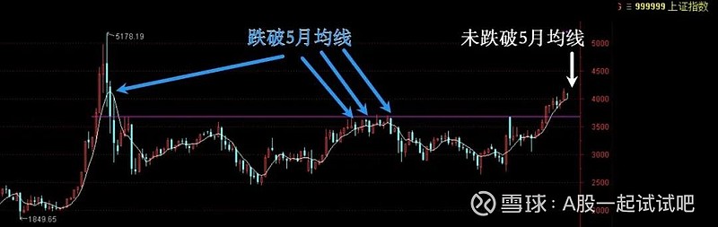 好大一只老鼠！  第3张