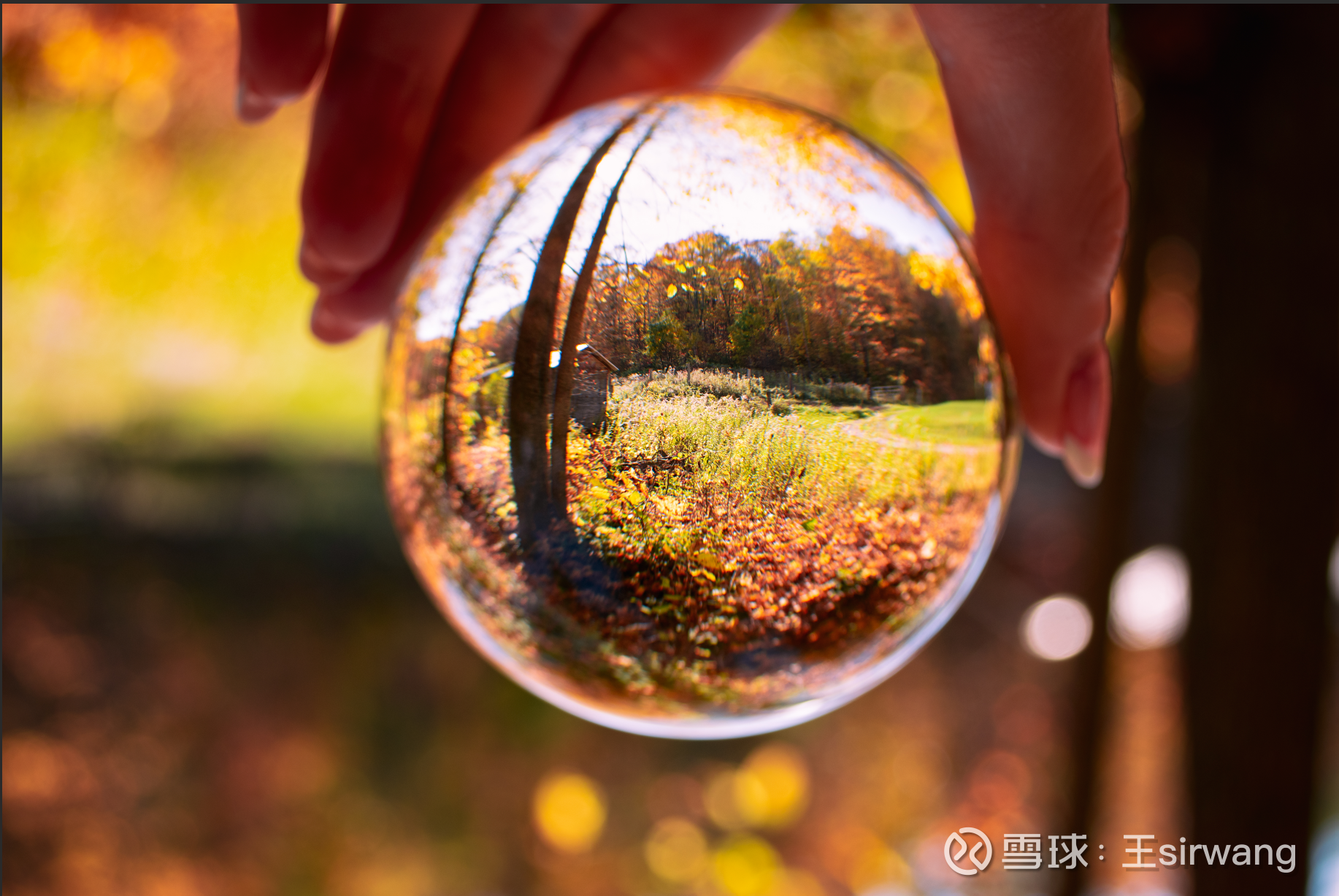 提问 / 上文配图 6