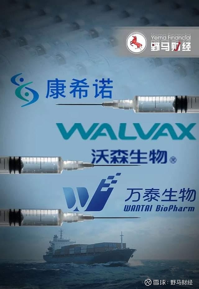 康希诺“造独木桥”,万泰沃森“闯新大陆”,疫苗突围赛谁赢? “出海”能成为疫苗企业的解药吗?作者|孙梦圆编辑丨于婞来源 | 野马财经2025年 ...