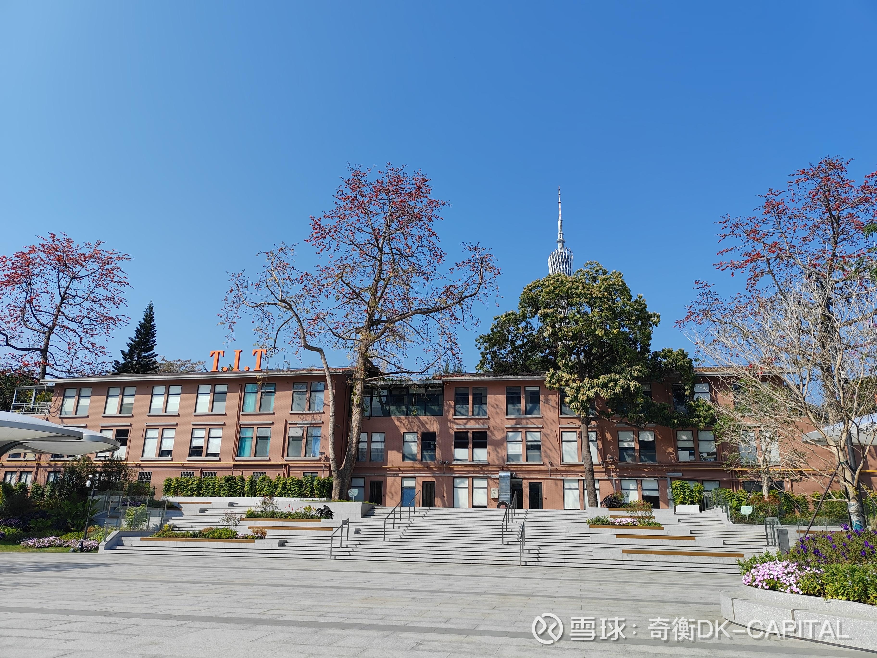 我在公园想好了马年的布局
