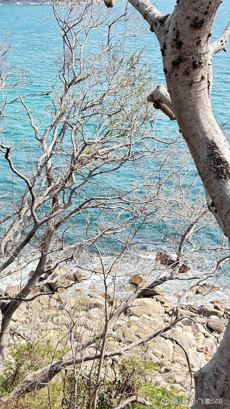这两天在深圳瞎转,做地铁去溪涌看海,这里算是深圳最清澈的一片海了,从溪涌沿海边步道走到小梅沙,坐地铁回福田。有时候去南山... - 雪球