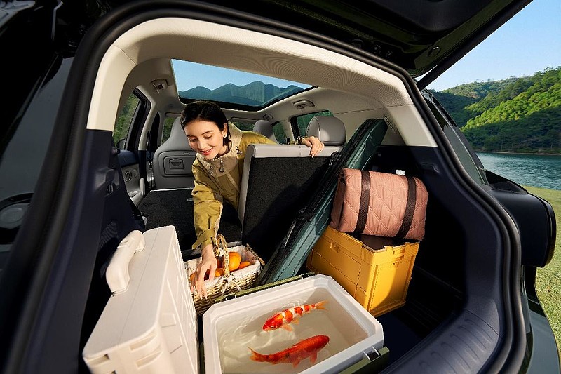 “不玩虚的”才是真诚意，零跑A10上市定价够直接，6.58万元起-锋巢网