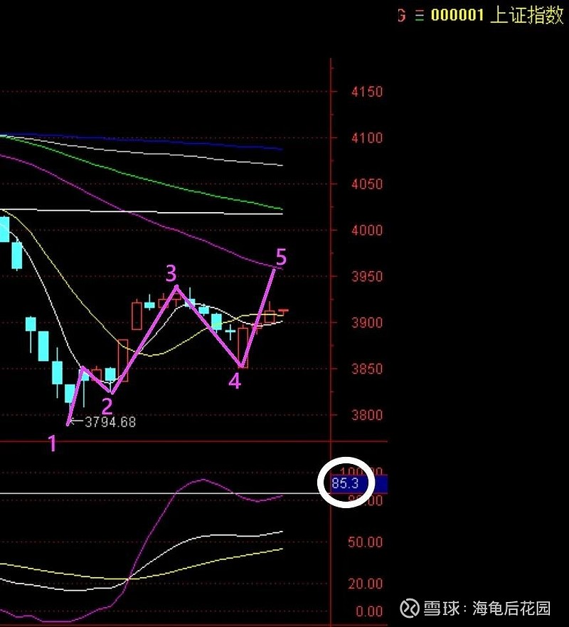 今天，他食言了！  第3张