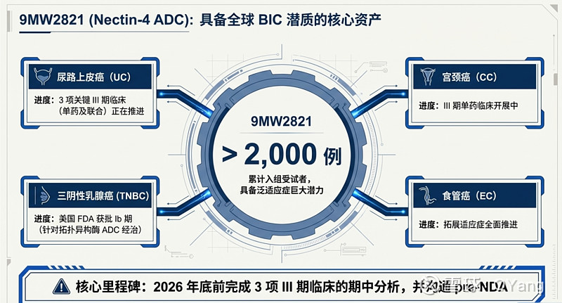 迈威生物一季度投资者交流记录总结图文版 - 2026.03 #药闻简讯# $迈威生物-U(SH688062)$ 昨天公布了2个投资者关系记录 ...