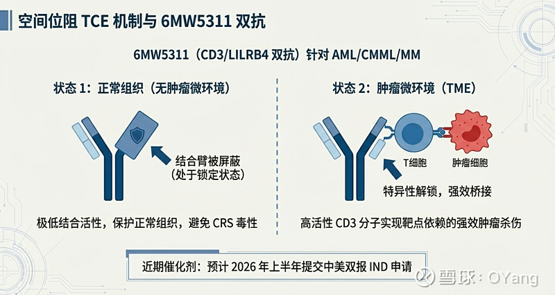 迈威生物一季度投资者交流记录总结图文版 - 2026.03 #药闻简讯# $迈威生物-U(SH688062)$ 昨天公布了2个投资者关系记录 ...