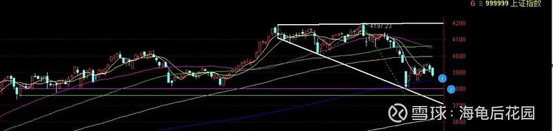 它11周连阴，机会来了！  第2张