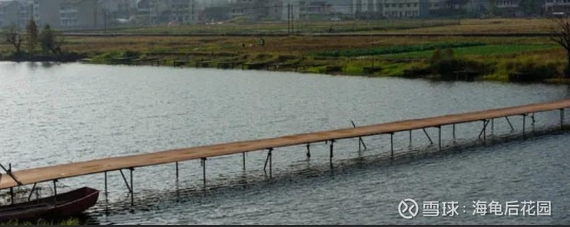 它11周连阴，机会来了！  第7张