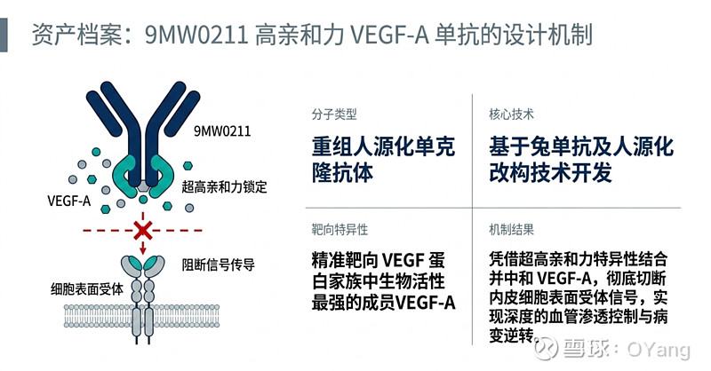 2倍疗效! 迈威生物9MW0211潜在突破眼科天花板 $迈威生物-U(SH688062)$ 9MW0211是一款重组人源化单抗，靶向VEGF ...
