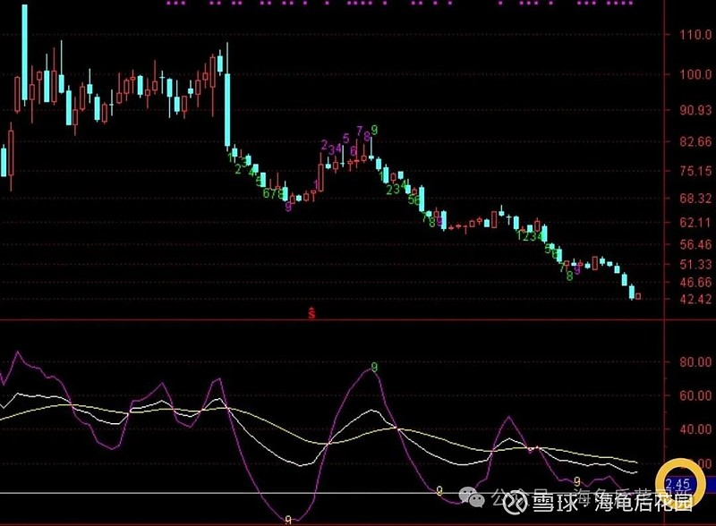 要进场了  第4张