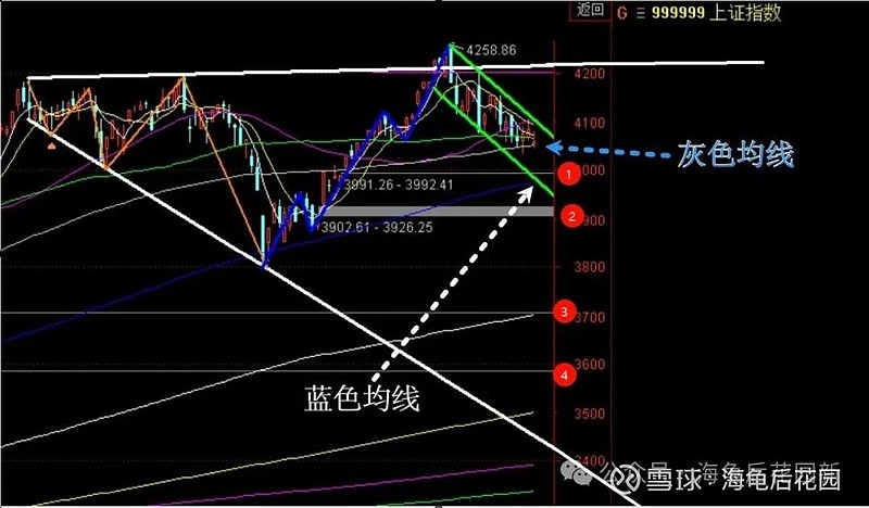 这个瓜告诉我们，还是牛市！  第4张