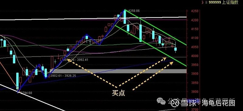 一张图，一句话！  第1张