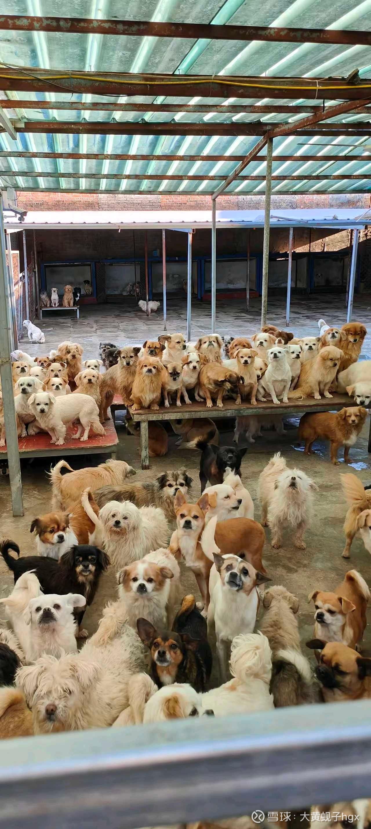 动态图片