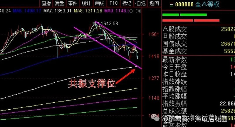 这次一定会卖！  第3张