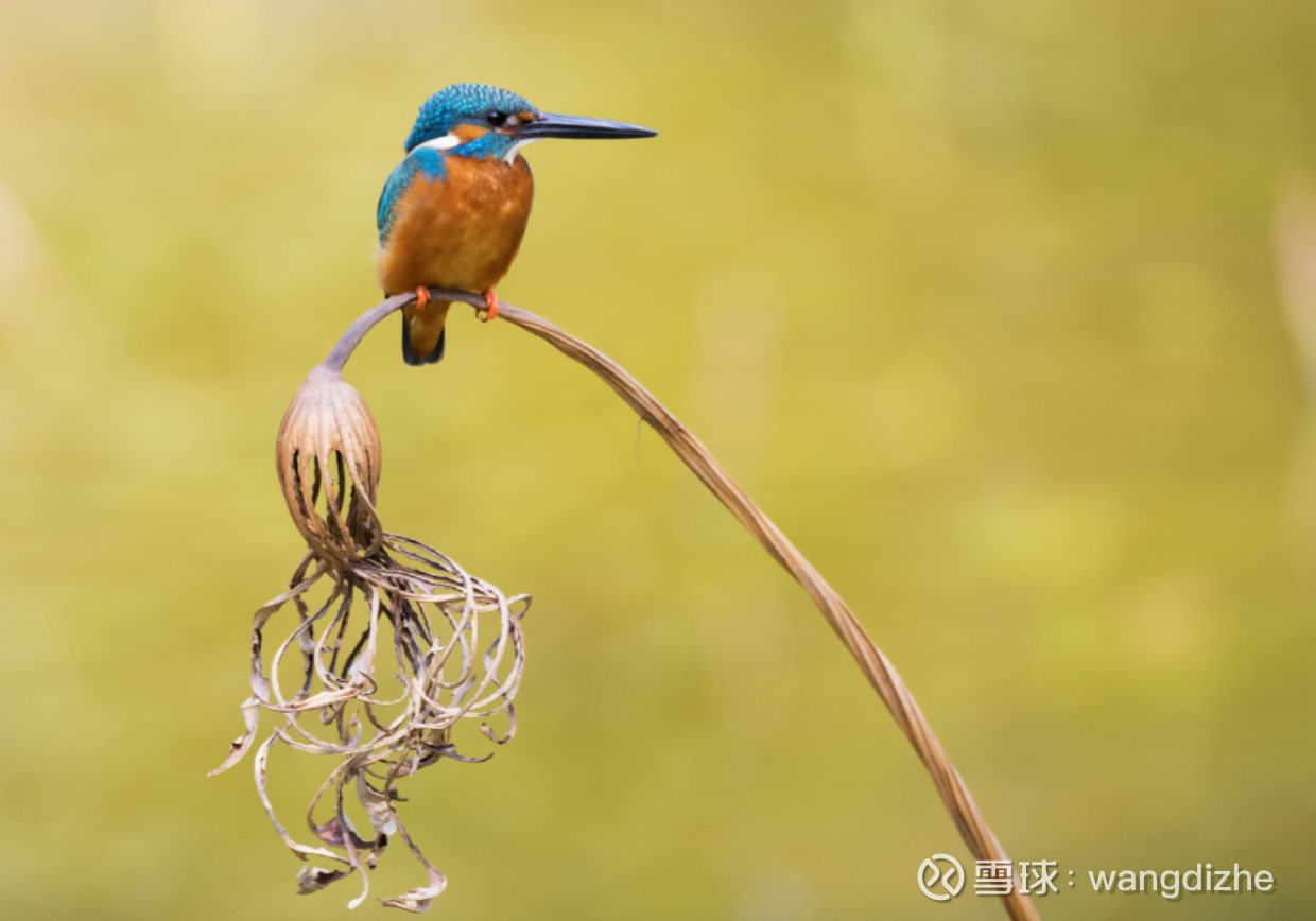 观望是一种特权