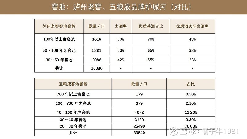 泸州老窖VS五粮液，历史溯源哪家更强？