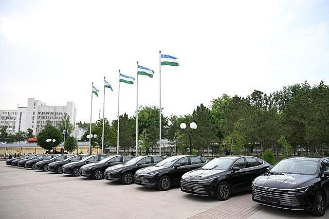 公务车电动化提速，比亚迪以全品类矩阵切入全球政务市场-锋巢网